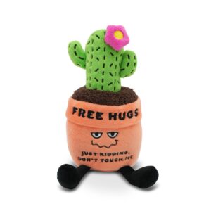 "Free Hugs"- Plush Cactus